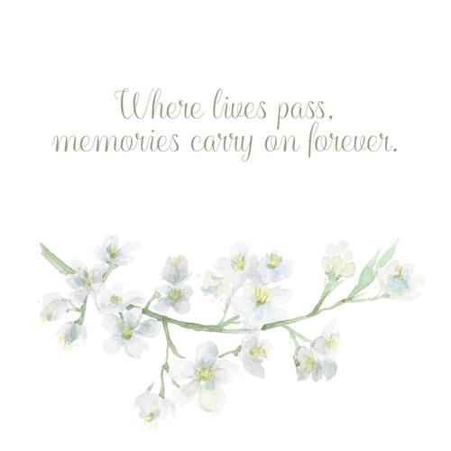 Where Lives Pass