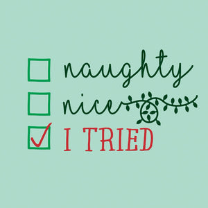 Dear Santa, I tried...