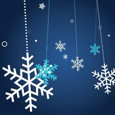 Snowflake Ornaments